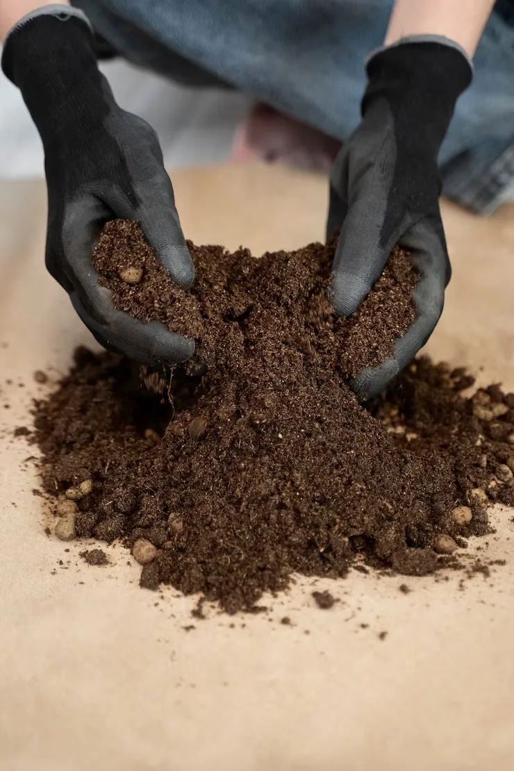 Semillas y fertilizantes agrícolas organizados en estanterías